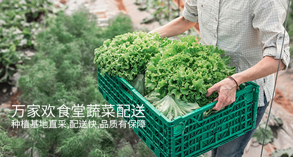 万家欢食堂蔬菜配送,种植基地直采,配送快,品质有保障